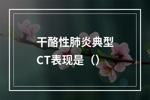 干酪性肺炎典型CT表现是（）