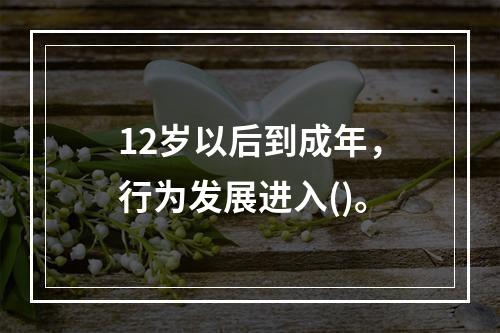 12岁以后到成年，行为发展进入()。