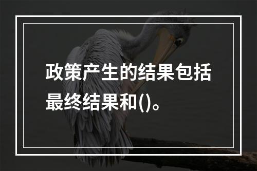 政策产生的结果包括最终结果和()。