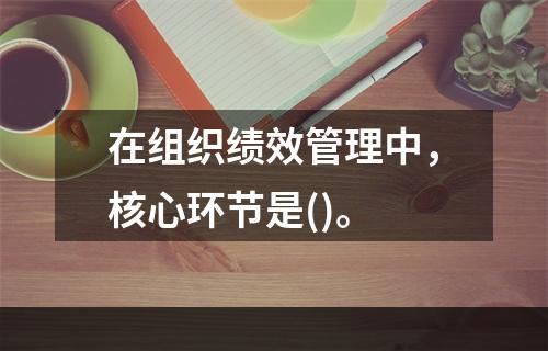 在组织绩效管理中，核心环节是()。