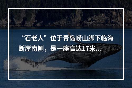 “石老人”位于青岛崂山脚下临海断崖南侧，是一座高达17米的花