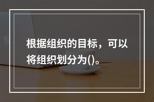 根据组织的目标，可以将组织划分为()。