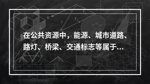 在公共资源中，能源、城市道路、路灯、桥梁、交通标志等属于（）