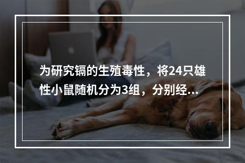 为研究镉的生殖毒性，将24只雄性小鼠随机分为3组，分别经口灌