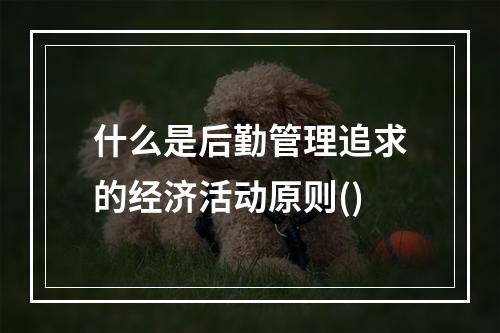 什么是后勤管理追求的经济活动原则()