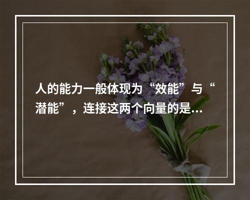 人的能力一般体现为“效能”与“潜能”，连接这两个向量的是“工