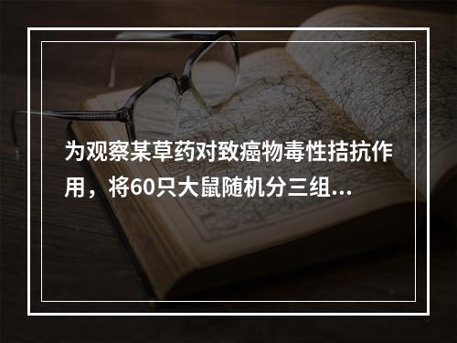 为观察某草药对致癌物毒性拮抗作用，将60只大鼠随机分三组，每