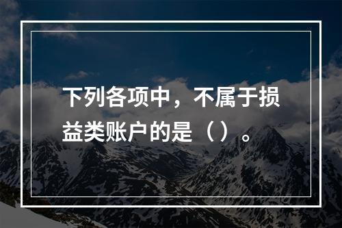 下列各项中，不属于损益类账户的是（ ）。