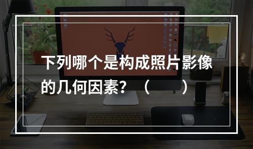 下列哪个是构成照片影像的几何因素？（　　）