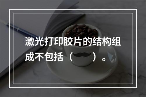 激光打印胶片的结构组成不包括（　　）。