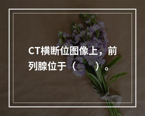 CT横断位图像上，前列腺位于（　　）。