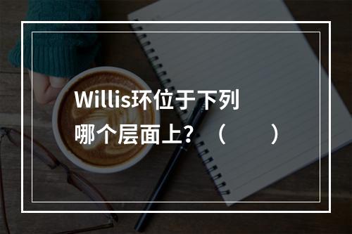 Willis环位于下列哪个层面上？（　　）