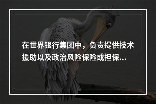 在世界银行集团中，负责提供技术援助以及政治风险保险或担保，以