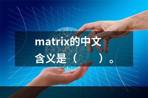 matrix的中文含义是（　　）。