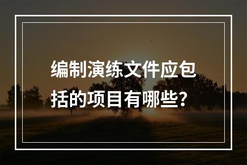 编制演练文件应包括的项目有哪些？