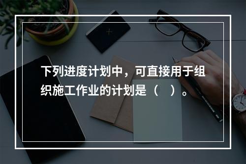 下列进度计划中，可直接用于组织施工作业的计划是（　）。