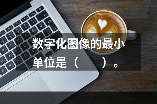 数字化图像的最小单位是（　　）。