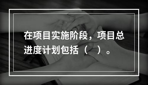 在项目实施阶段，项目总进度计划包括（　）。