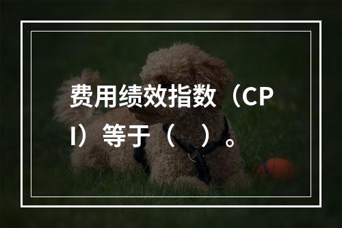 费用绩效指数（CPI）等于（　）。