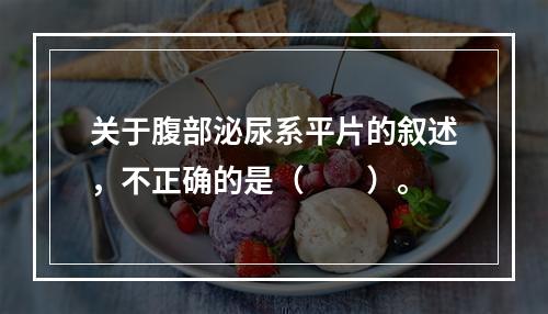 关于腹部泌尿系平片的叙述，不正确的是（　　）。