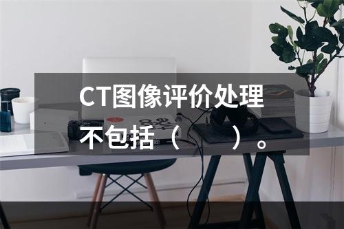 CT图像评价处理不包括（　　）。