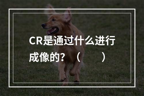 CR是通过什么进行成像的？（　　）