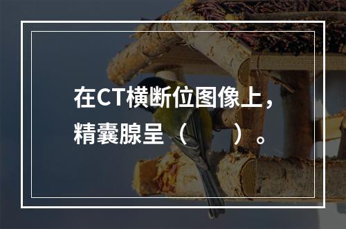 在CT横断位图像上，精囊腺呈（　　）。