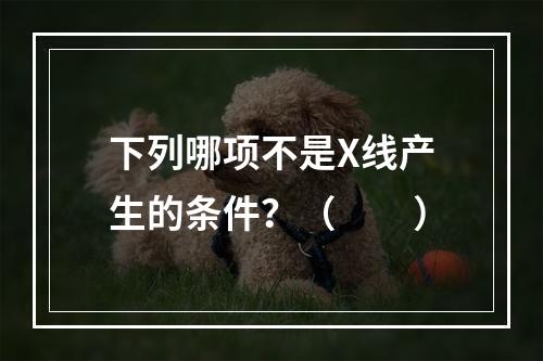 下列哪项不是X线产生的条件？（　　）