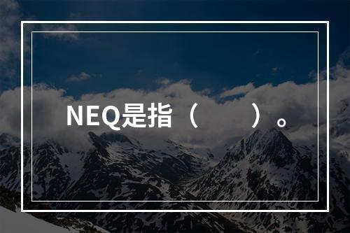 NEQ是指（　　）。