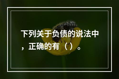 下列关于负债的说法中，正确的有（ ）。