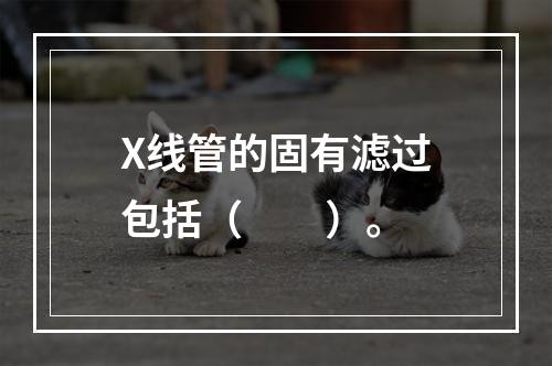 X线管的固有滤过包括（　　）。