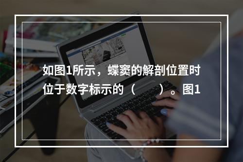 如图1所示，蝶窦的解剖位置时位于数字标示的（　　）。图1