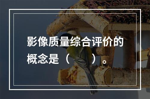 影像质量综合评价的概念是（　　）。