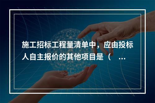 施工招标工程量清单中，应由投标人自主报价的其他项目是（　）。