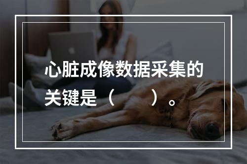 心脏成像数据采集的关键是（　　）。