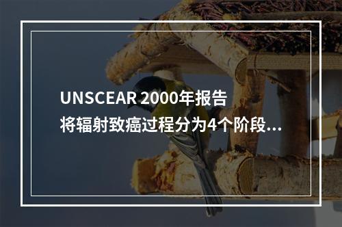 UNSCEAR 2000年报告将辐射致癌过程分为4个阶段，