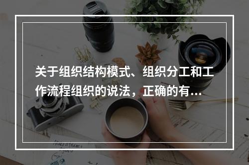 关于组织结构模式、组织分工和工作流程组织的说法，正确的有（　