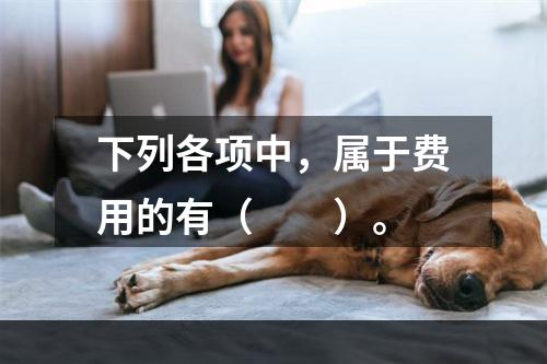 下列各项中，属于费用的有（　　）。