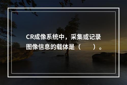 CR成像系统中，采集或记录图像信息的载体是（　　）。