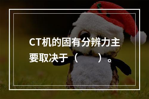 CT机的固有分辨力主要取决于（　　）。