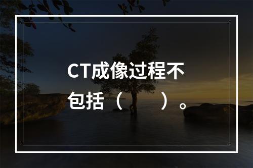 CT成像过程不包括（　　）。