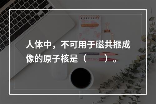 人体中，不可用于磁共振成像的原子核是（　　）。