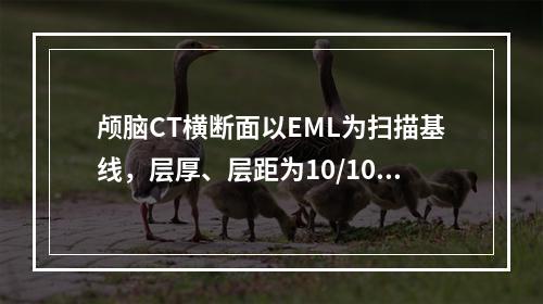 颅脑CT横断面以EML为扫描基线，层厚、层距为10/10m