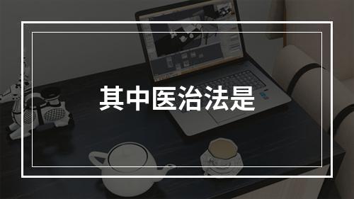 其中医治法是