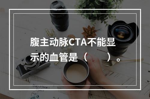 腹主动脉CTA不能显示的血管是（　　）。