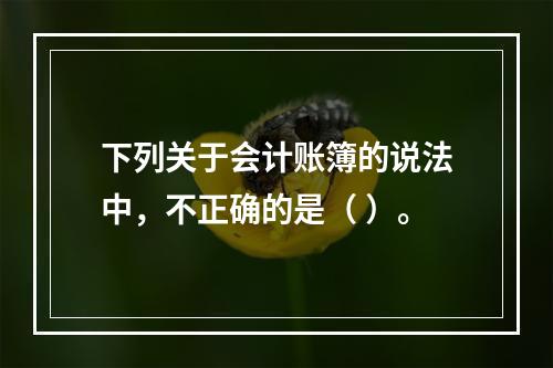 下列关于会计账簿的说法中，不正确的是（ ）。