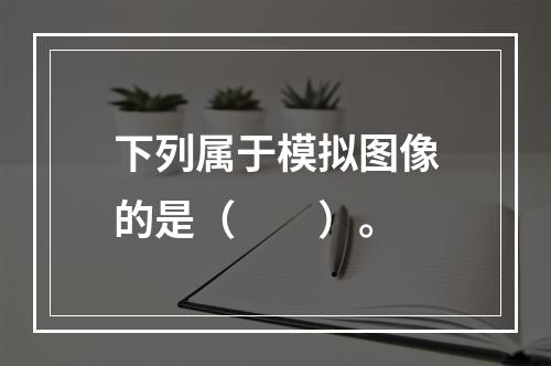 下列属于模拟图像的是（　　）。