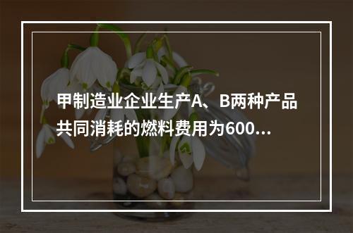 甲制造业企业生产A、B两种产品共同消耗的燃料费用为6000元