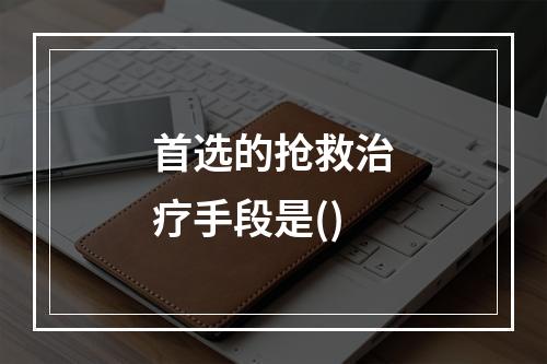 首选的抢救治疗手段是()