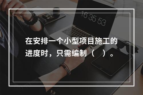 在安排一个小型项目施工的进度时，只需编制（　）。